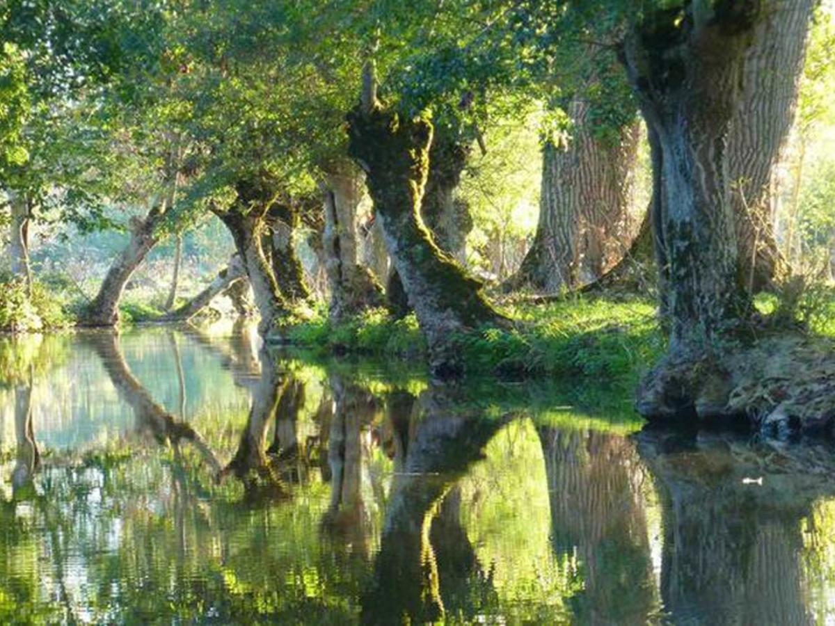 La Laujere Ivie - Gite & Piscine Privative Saint-Hilaire-du-Bois  Kültér fotó